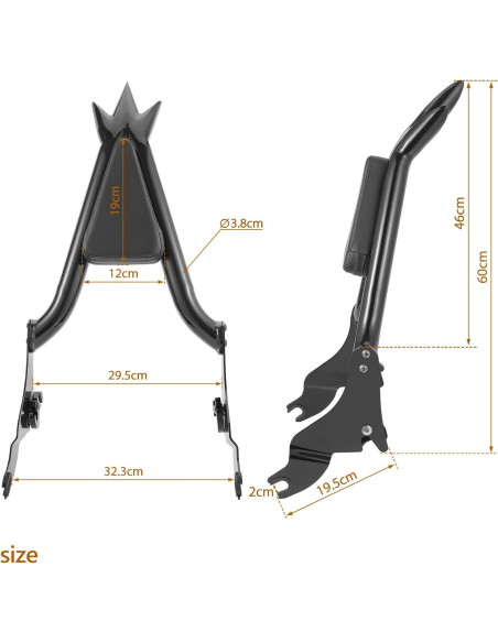 Sissy Bar Desmontable Drytuns para Harley Touring 2009-2024