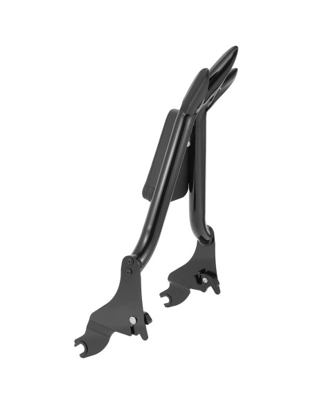 Sissy Bar Desmontable Drytuns para Harley Touring 2009-2024