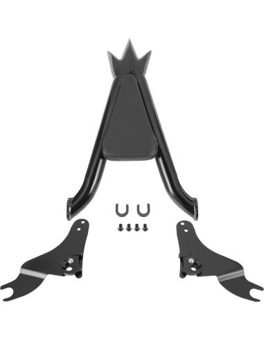 Sissy Bar Desmontable Drytuns para Harley Touring 2009-2024