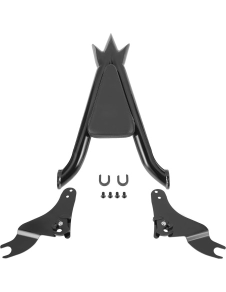 Sissy Bar Desmontable Drytuns para Harley Touring 2009-2024