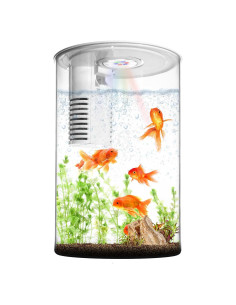 Acuario de Escritorio 3 Galones Zingbabu con Luz LED 7 Colores