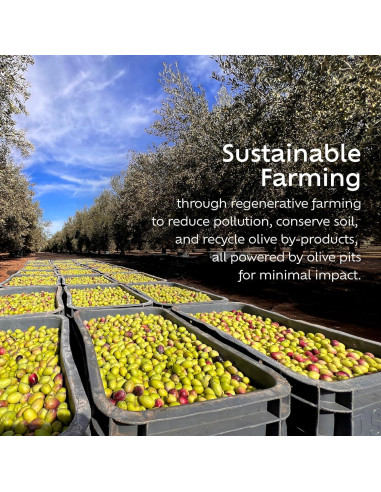 Aceite de Oliva Extra Virgen NOOR FS 500 ml Orgánico Picholine