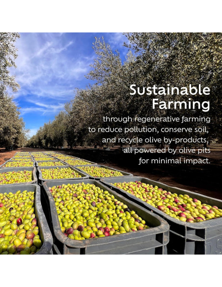 Aceite de Oliva Extra Virgen NOOR FS 500 ml Orgánico Picholine