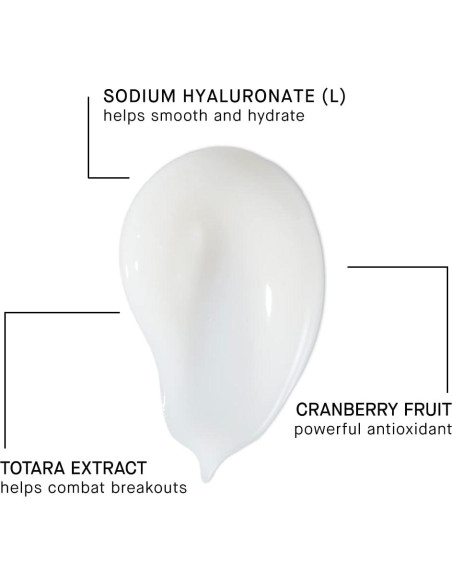 Hidratante Diario Sin Aceite ARCONA 50 ml - Ácido Hialurónico Hidratante Diario Sin Aceite ARCONA 50 ml - Ácido Hialurónico