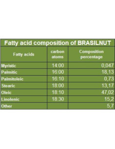 Aceite de Nuez de Brasil Amazonoil 473 ml Prensado en Frío 2
