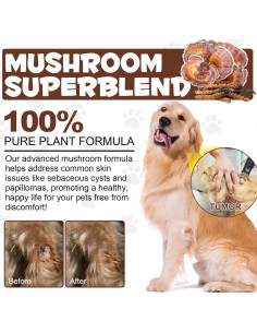 Suplemento de Champiñones Silvestres Shuangjia 125 ml para Mascotas 2