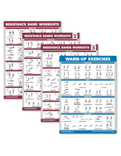 Paquete de Aprendizaje Palace - 4 Carteles de Ejercicio Laminados