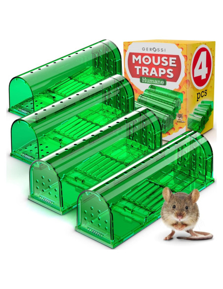 Trampas Humanas para Ratones GEROSSI - Paquete de 4, Ecológicas