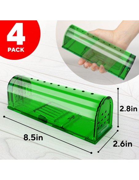 Trampas Humanas para Ratones GEROSSI - Paquete de 4, Ecológicas