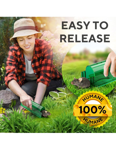 Trampas Humanas para Ratones GEROSSI - Paquete de 4, Ecológicas
