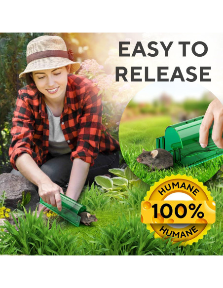 Trampas Humanas para Ratones GEROSSI - Paquete de 4, Ecológicas