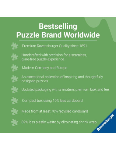 Caja de Almacenamiento 3D Ravensburger Minecraft - 216 Piezas