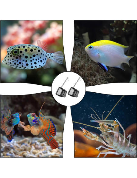 2 Piezas Red de Pesca Acuario QfwdfcTrenz Nylon 8x8cm