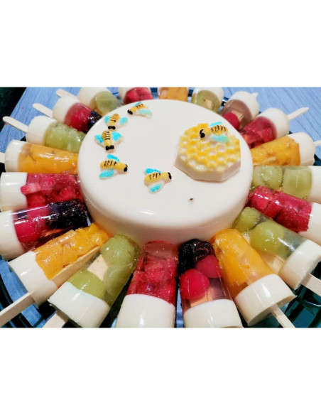 Moldes de Paletas Novedades Cari 25 Cavidades 50mL