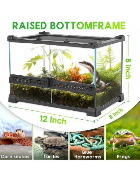 Mini Terrario de Vidrio Neptonion 30.48x20.32x20.32cm para Reptiles