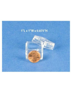 Cajas para Insectos Nature-Watch con Tapa Magnificante - Paquete de 10