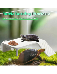 Plataforma de Sol para Tortugas Ovimyne Mediana Blanca con Ventosas 2