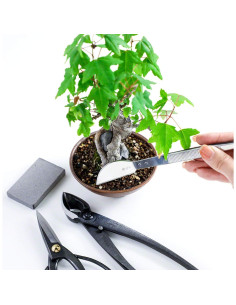 Kit de Herramientas para Bonsai Wazakura 4 Piezas Hecho en Japón 2