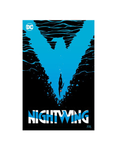 Nightwing 6: Standing at the Edge