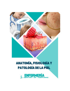 Anatomía, fisiología y patología de la piel: Enfermería: lo esencial en resúmenes (Spanish Edition)