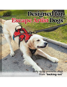 Arnés para Perros Rabbitgoo Grande Rojo Acolchado Reflectante 2