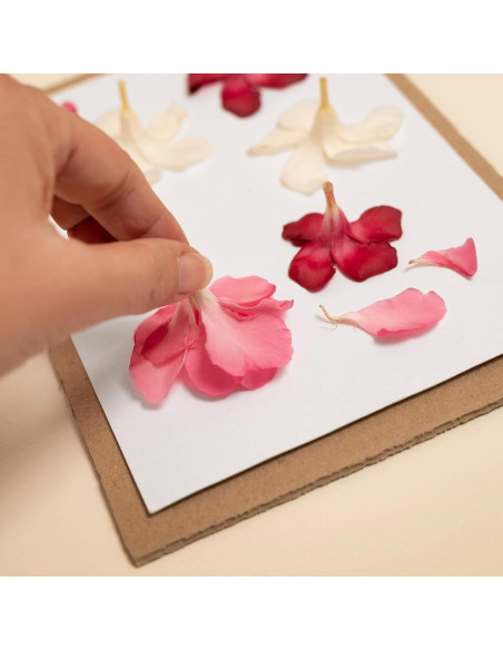 Papel para Prensar Flores PATIKIL 40 x 30 cm 30 Hojas