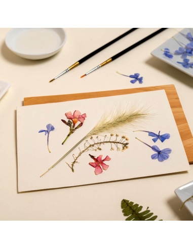 Papel para Prensar Flores PATIKIL 40 x 30 cm 30 Hojas