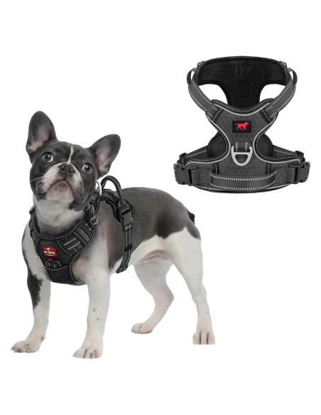 Arnés para Perros Tuff Pupper Pequeño Negro Acolchado Reflectante