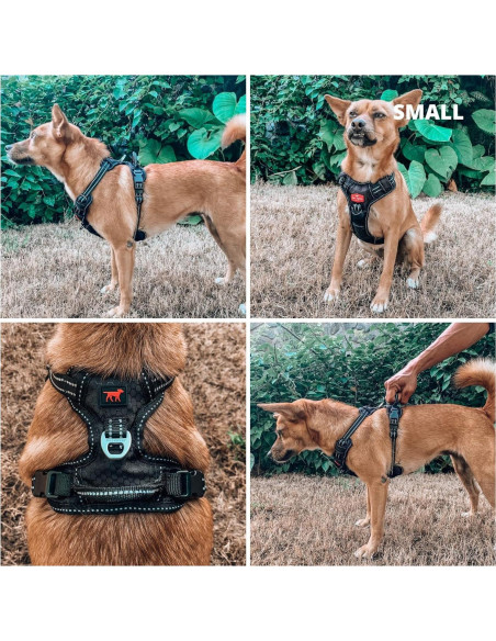 Arnés para Perros Tuff Pupper Pequeño Negro Acolchado Reflectante