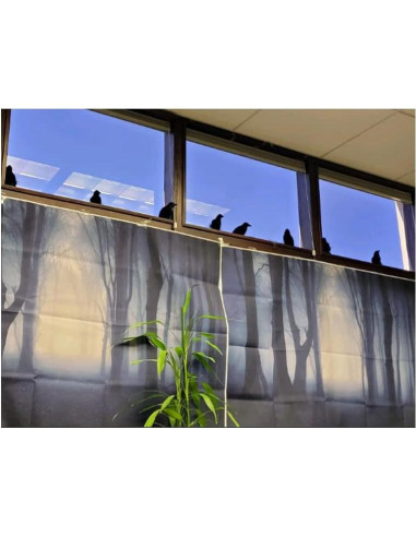 Fondo de Fiesta Halloween 274x183 cm Art Studio Vinilo