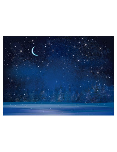 Fondo Fotográfico 3x2.5m Fmarui Noche Estrellada Navidad