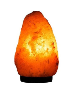 Lámpara de Sal del Himalaya Needs&Gifts 1.13 kg Regulable 2