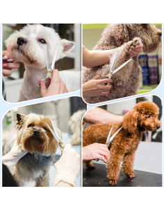 Kit de Tijeras para Perros JASON 6 en 1 Acero Inoxidable 19 cm 2