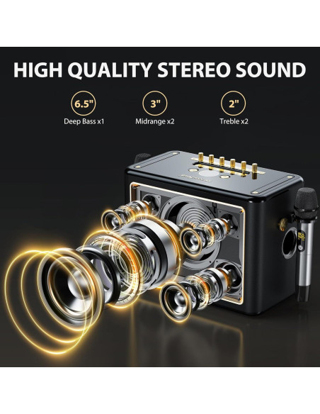 Máquina de Karaoke JYX con 2 Micrófonos Inalámbricos 500W