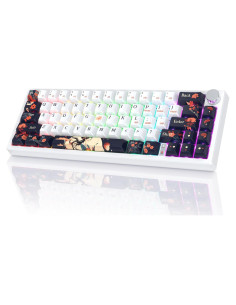 Teclado Gaming Inalámbrico Risophy PC425, 60% Compacto, RGB