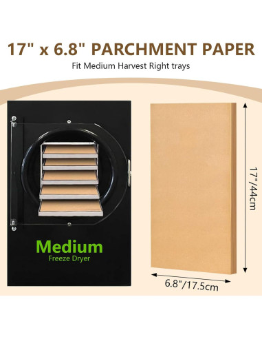 Juego de Tapetes para Bandejas Medianas LSKHEGWLU 100 PCS