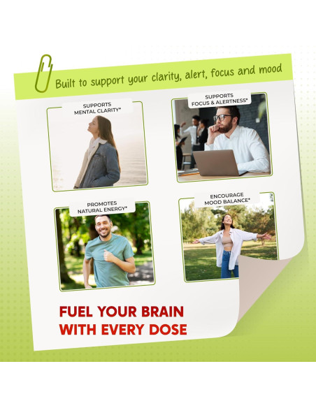 Cápsulas de Yerba Mate PeakPury - 150 Unidades - Energía Natural y Enfoque