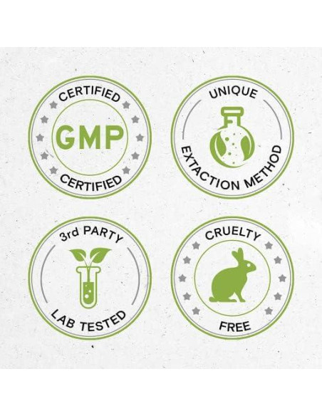 Cápsulas de Anís Estrellado Orgánico 1000 mg - 60 Unidades