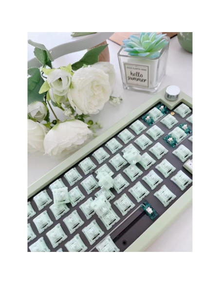 Interruptores Mecánicos Lineales BOYI Jadeite Green 40gf 35pcs