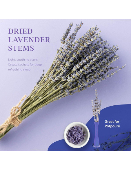 Cesta de Regalo Spa Lovery 10 Piezas - Jabón, Bomba, Aceite