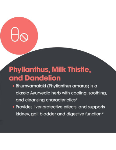 Suplemento Cardo Mariano Plus Allergy Research 120 Cápsulas