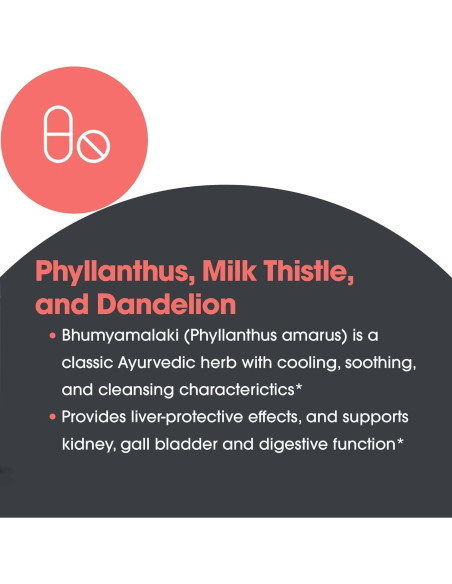 Suplemento Cardo Mariano Plus Allergy Research 120 Cápsulas