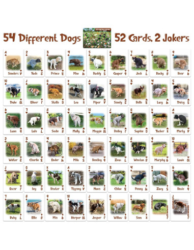 Baraja de Cartas Funwares 101 Perritos Haciendo Popó - Impermeable