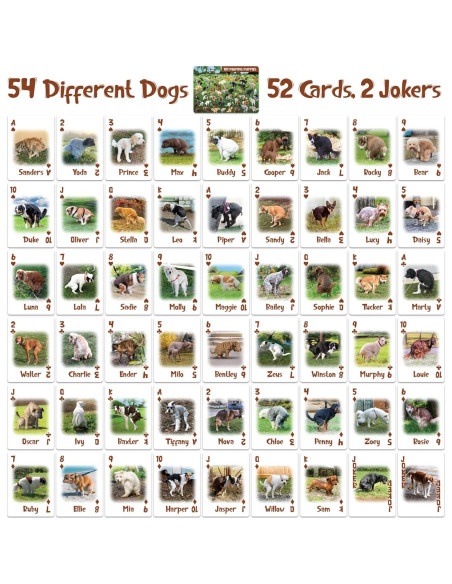 Baraja de Cartas Funwares 101 Perritos Haciendo Popó - Impermeable Baraja de Cartas Funwares 101 Perritos Haciendo Popó - Impermeable
