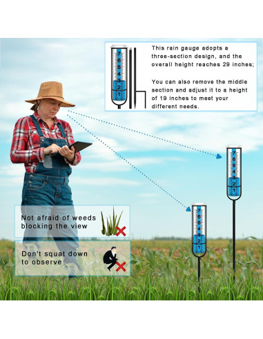 Pluviómetro BIUWING Ajustable 73.66 cm para Jardín