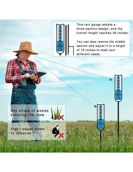 Pluviómetro BIUWING Ajustable 73.66 cm para Jardín