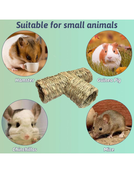 Túnel de Hierba Hamiledyi para Hámster y Pequeñas Mascotas 31.75cm