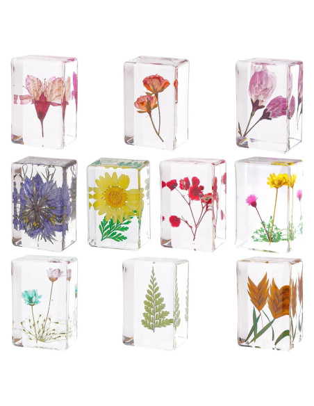 10 Pisapapeles de Resina con Flores Reales JINLISPIN 4.19cm