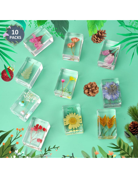 10 Pisapapeles de Resina con Flores Reales JINLISPIN 4.19cm