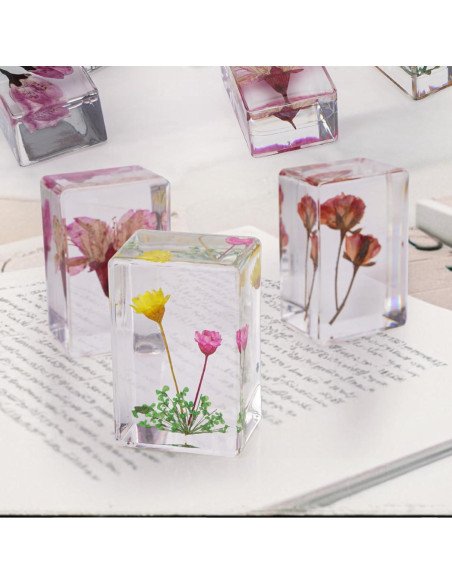 10 Pisapapeles de Resina con Flores Reales JINLISPIN 4.19cm